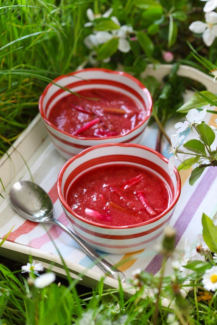 Cold rhubarb soup on a tray on a summer meadow