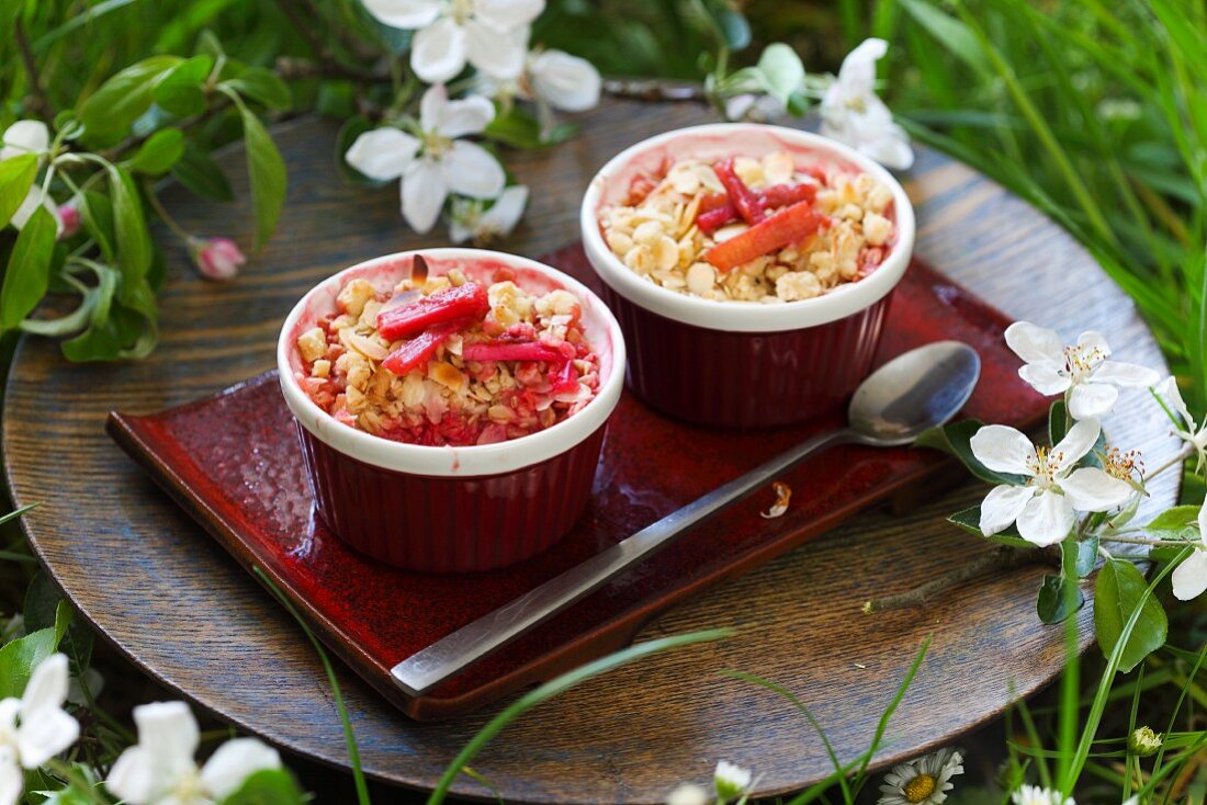 Rhubarb crumble in baking dishes on a summer meadow