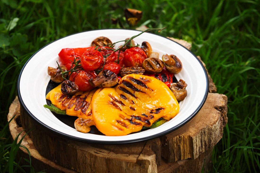 Grilled vegetables on a plate on a tree stump in grass