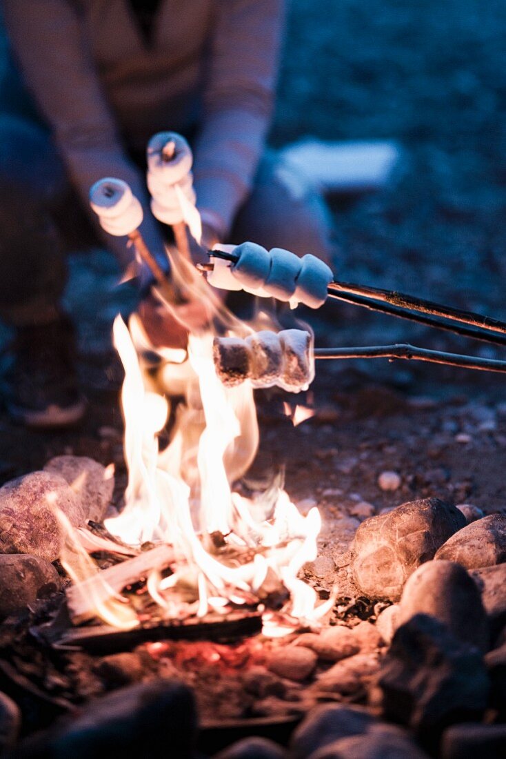 Grilled Marshmallows
