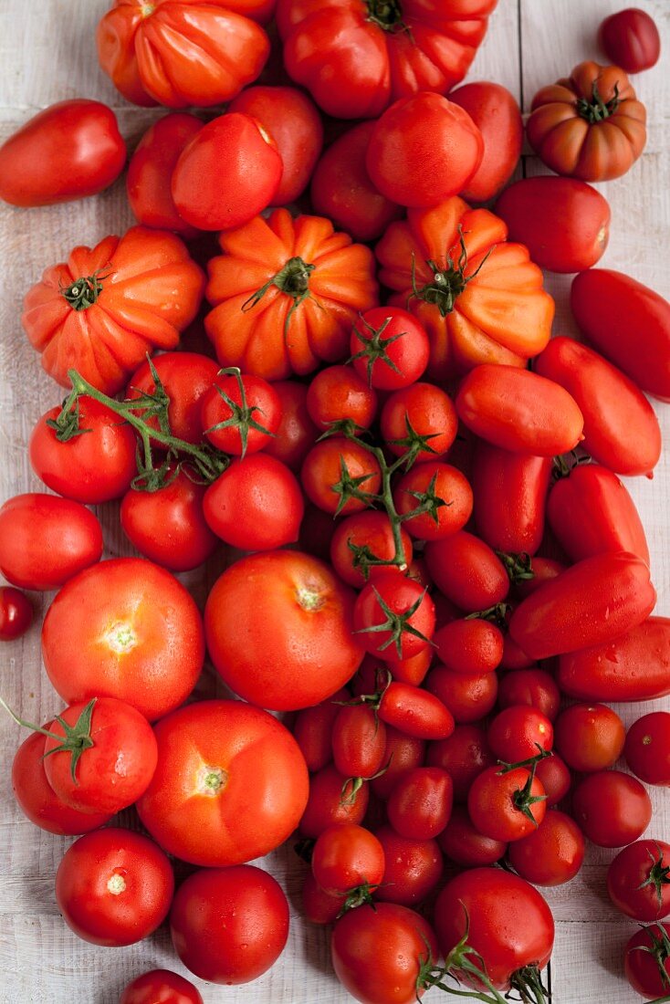 Verschiedene rote Tomaten auf Holztisch