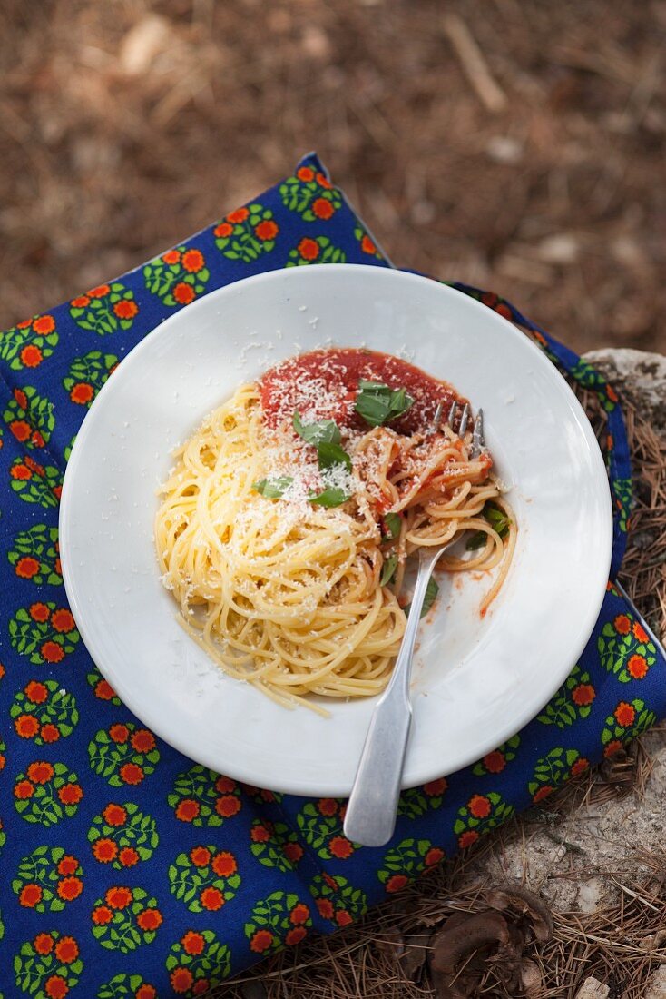 Spaghetti mit Tomatensauce, Parmesan und Basilikum