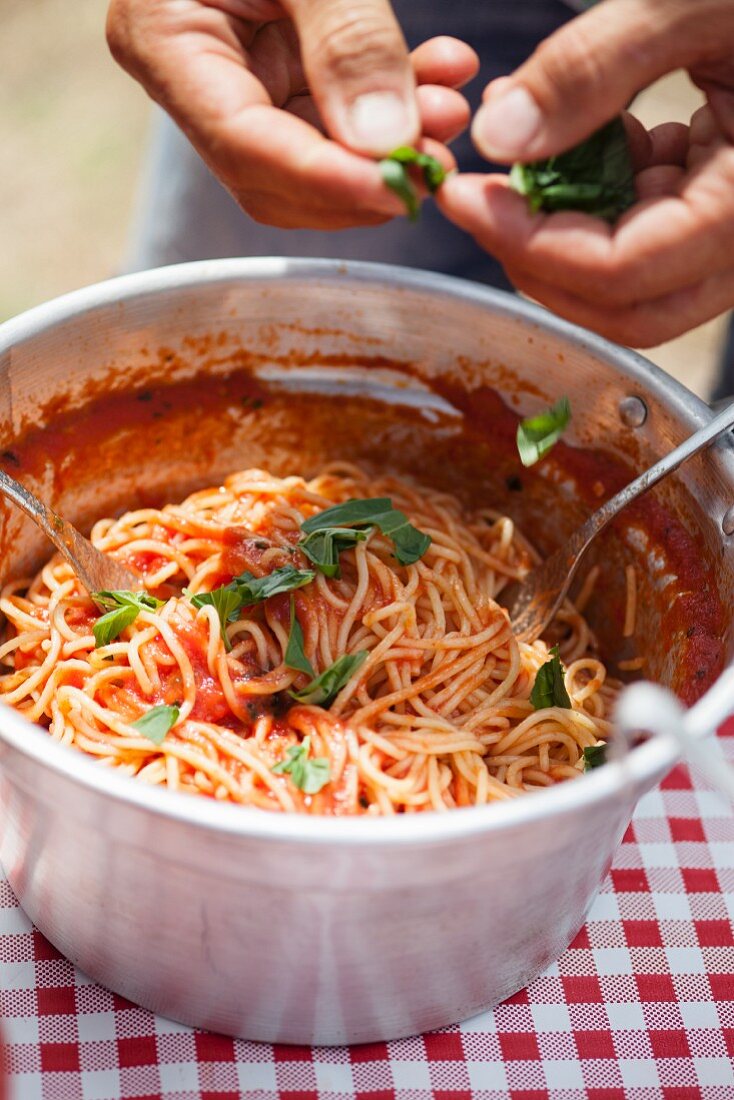 Spaghetti mit Tomatensauce und Basilikum