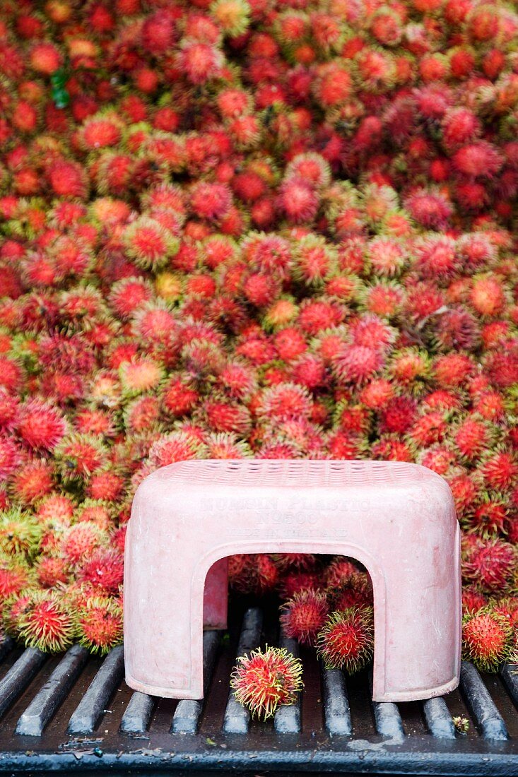 Frische Rambutan auf Markt (Thailand, Asien)