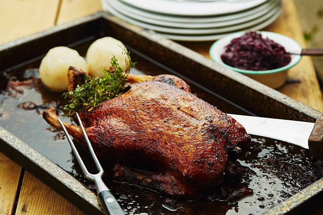 Roasted wild goose with red cabbage and dumplings