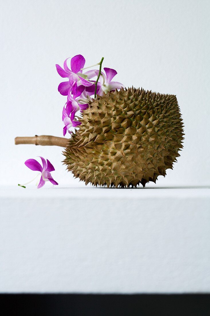 Eine Durian und violette Orchideenblüten