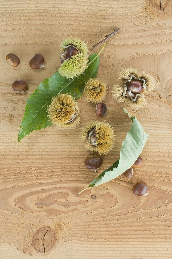 Chestnuts with cases and leaves on a wooden surface