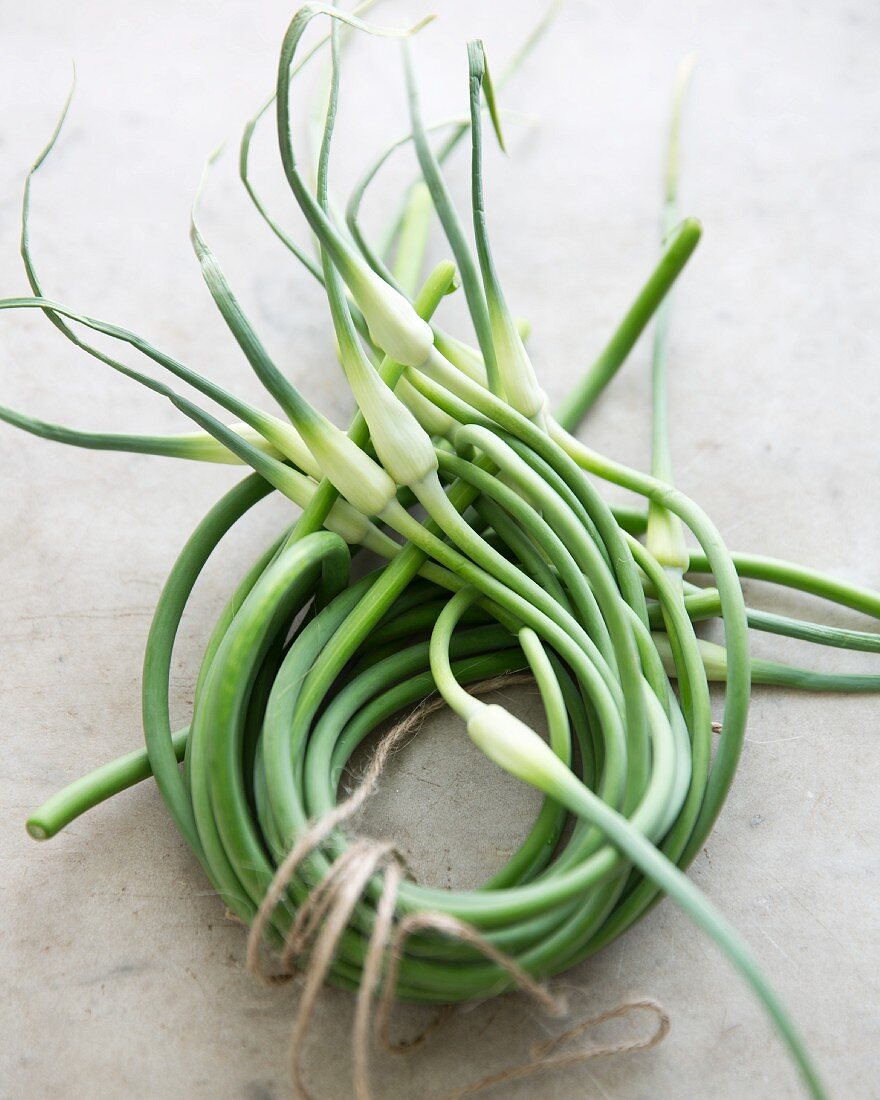 Knoblauch-Scapes, kreisförmig zusammengebunden