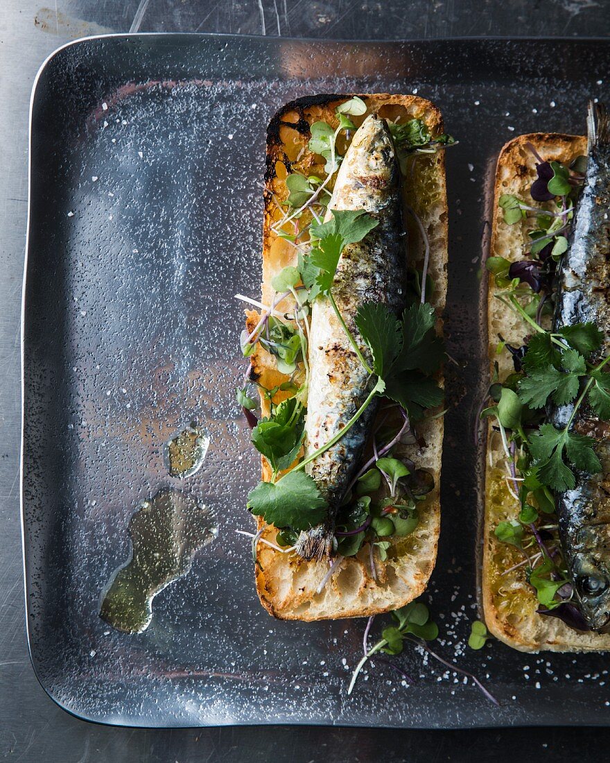 Open ciabatta sandwiches topped with grilled sardines and herbs