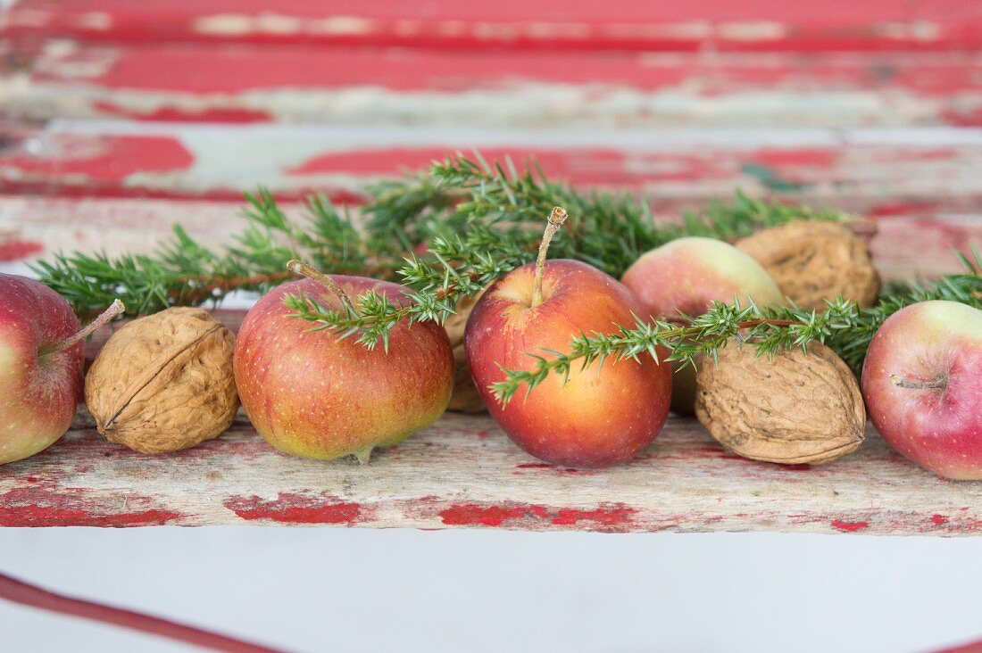 Äpfel, Walnüsse und Wacholderzweige als Weihnachtsdeko