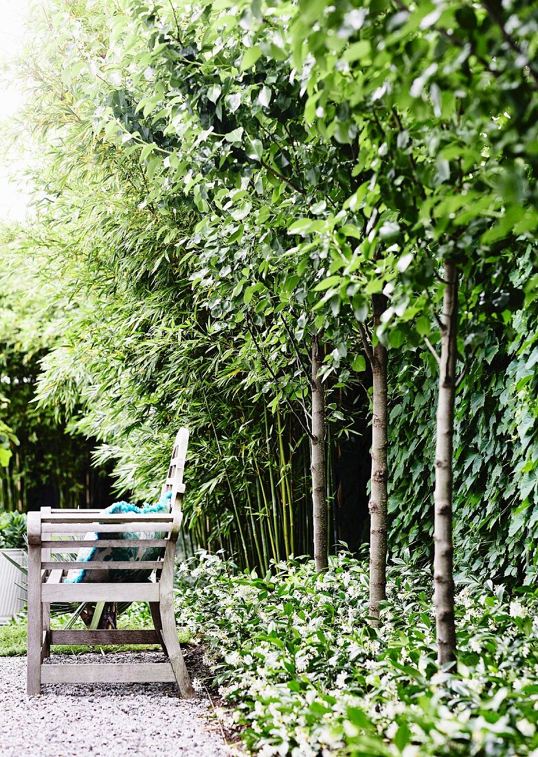 Gartenbank steht vor einer Reihe kleiner Bäume