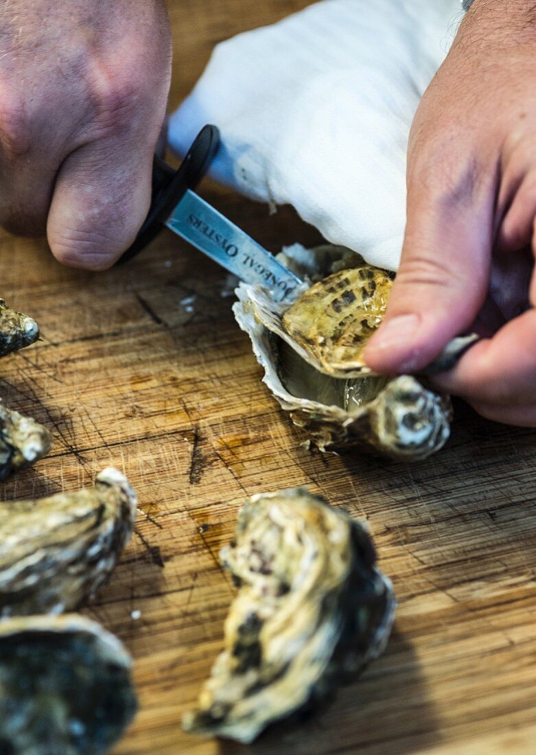 Oysters being opened with an oyster knife