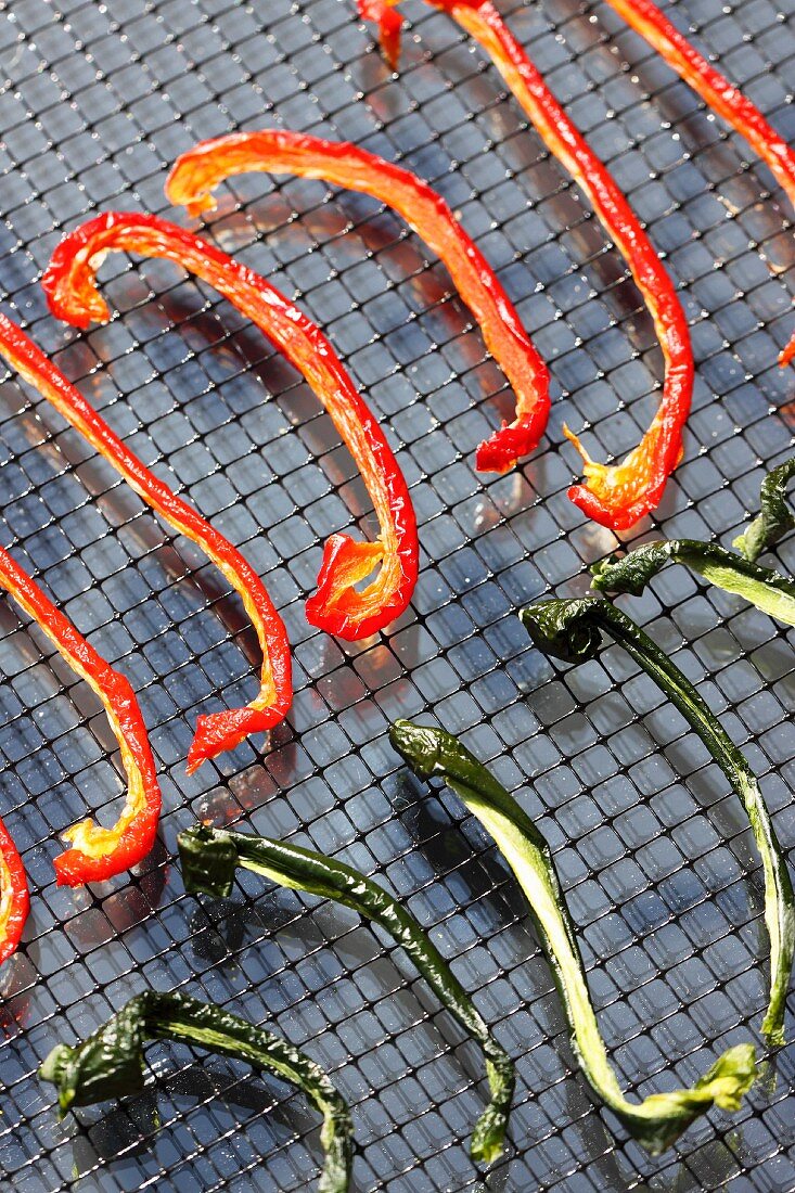 Strips of red and green pepper on a wire rack in a solar dryer