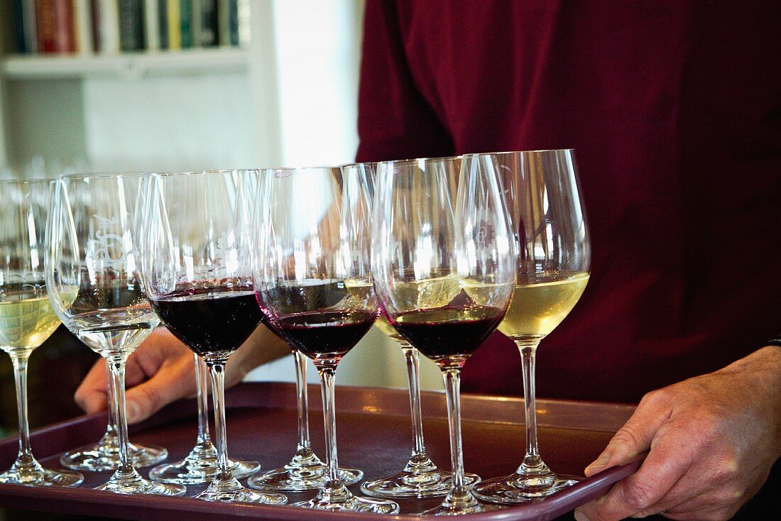 Wine tasting: A person serving glasses of red and white wine on a tray
