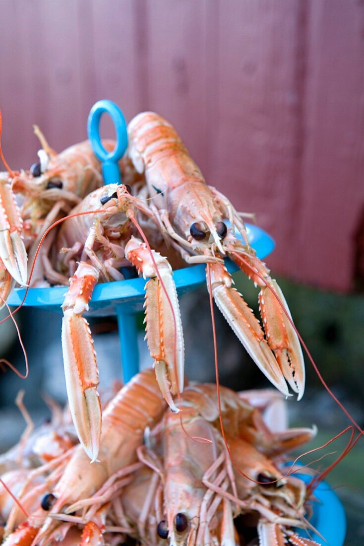 Cooked scampi on a cake stand