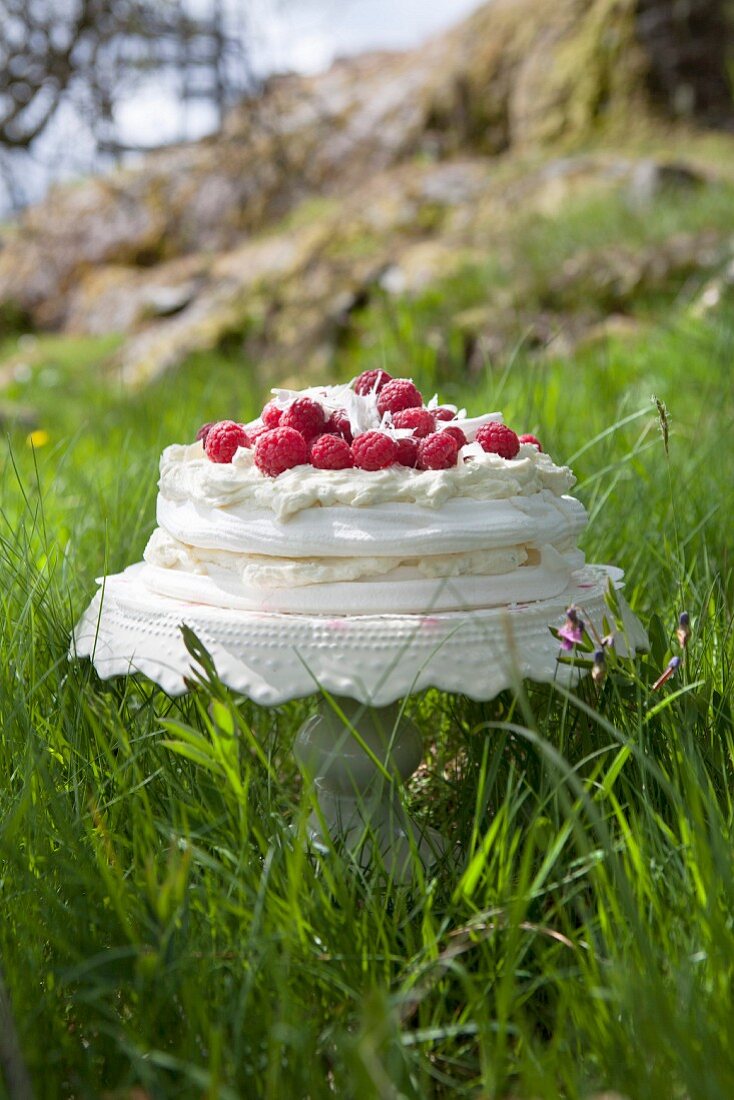 Meringue cake with raspberries and white chocolate in a meadow