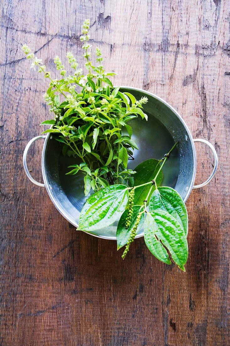 A sprig of pepper and lemon basil