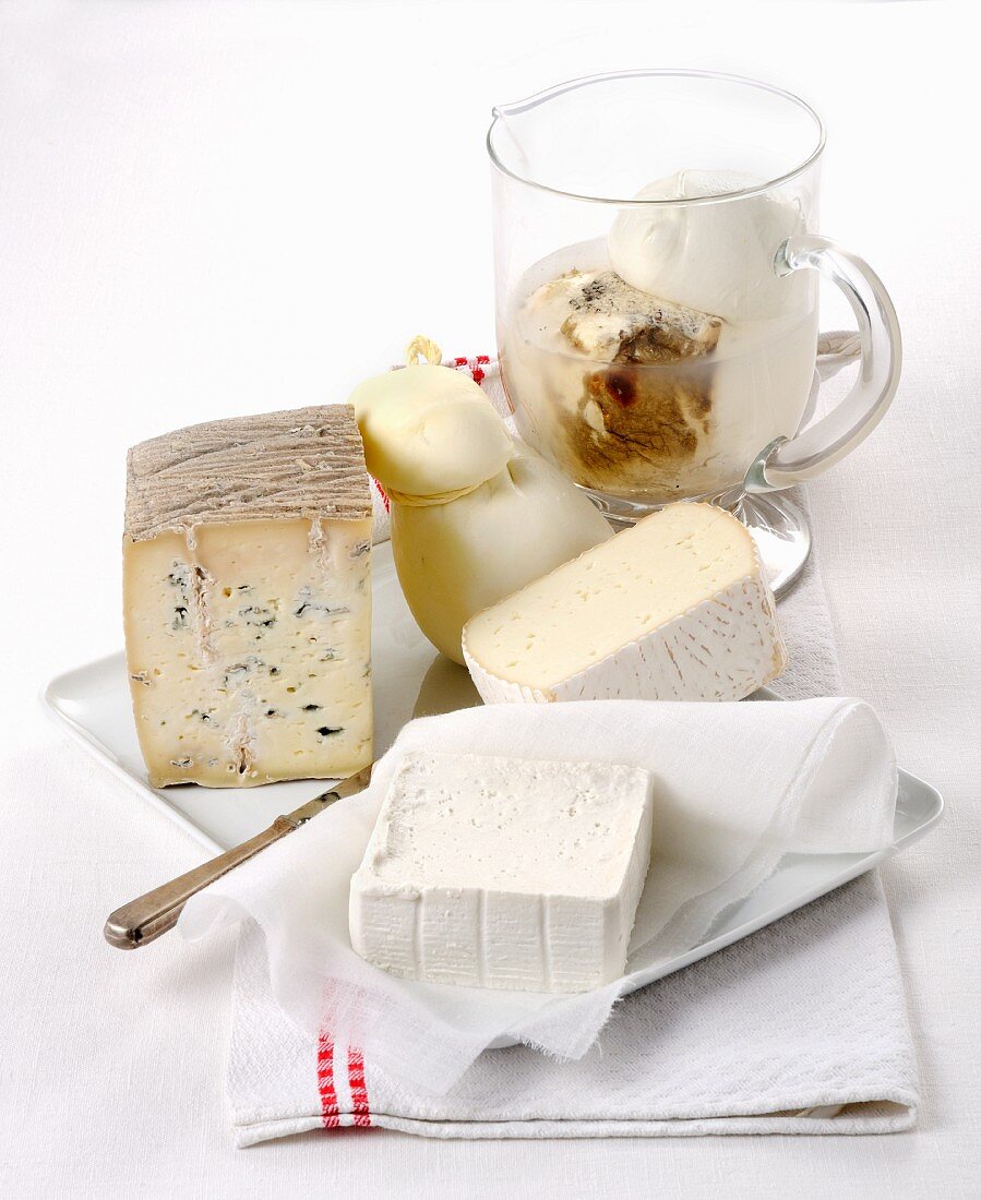 Various types of buffalo milk cheese