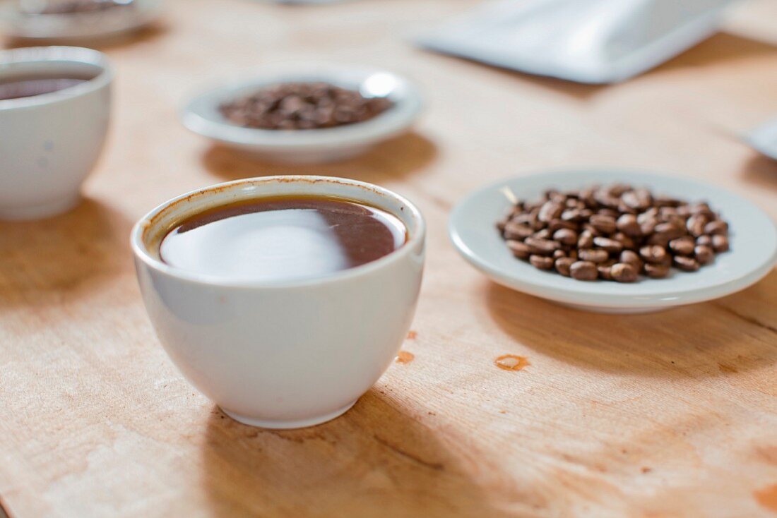 Eine Tasse Kaffee und Kaffeebohnen stehen bereit zur Verkostung