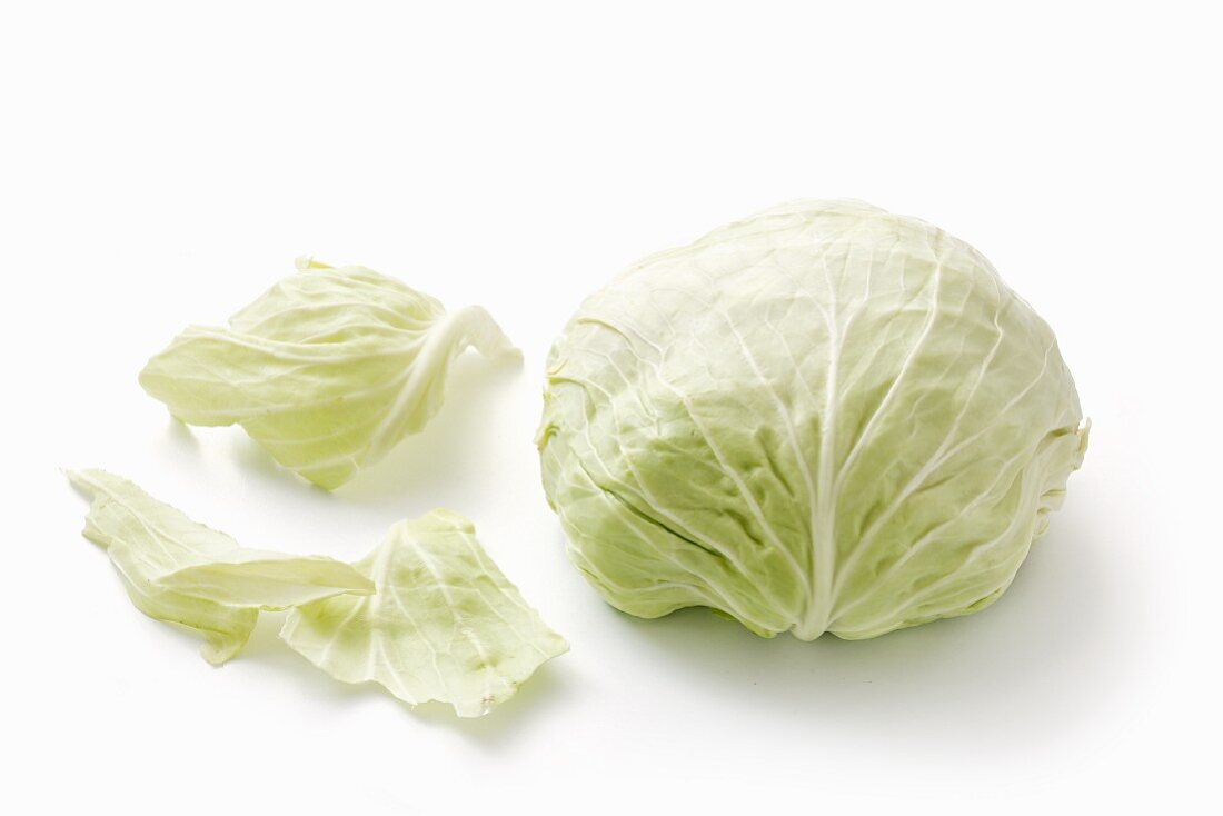 Jaroma white cabbage