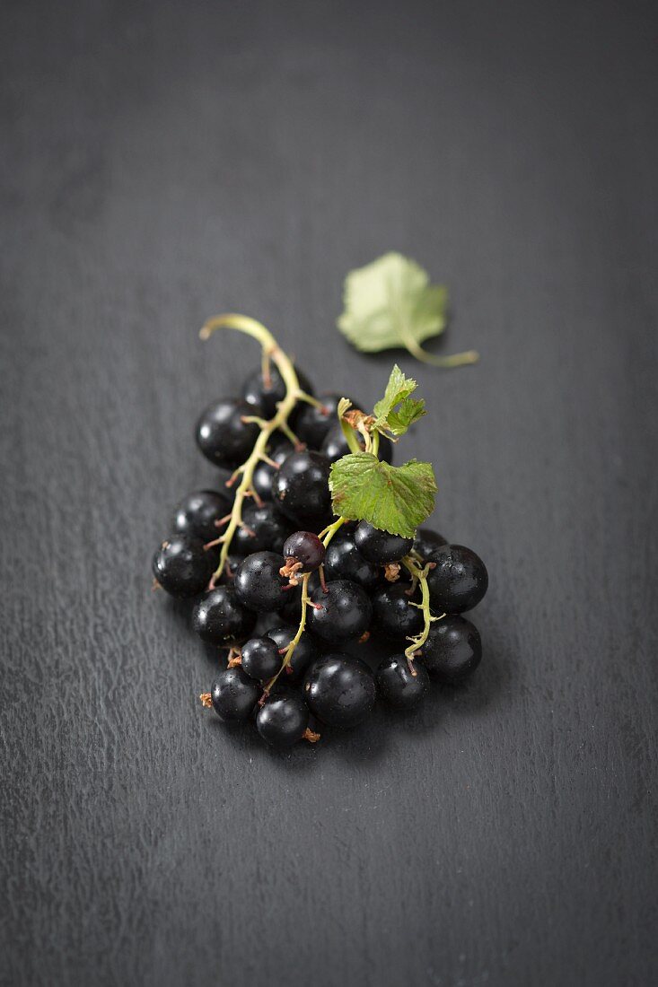 Bowl of blackcurrants