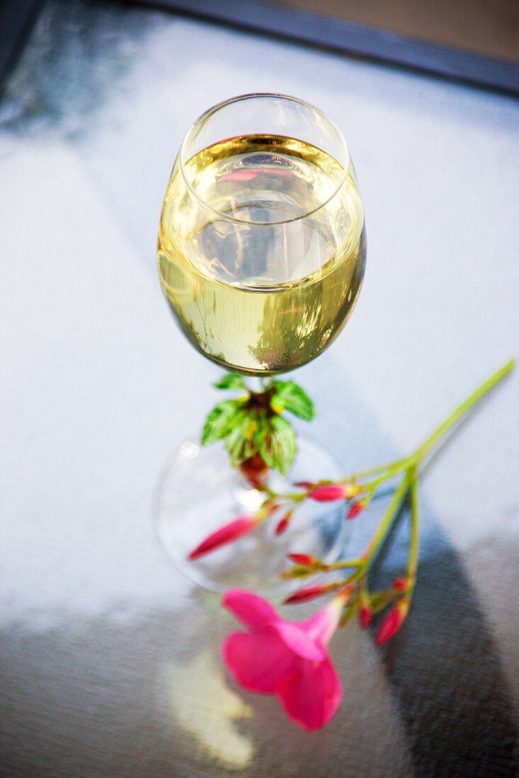 A pink flower next to a glass of white wine