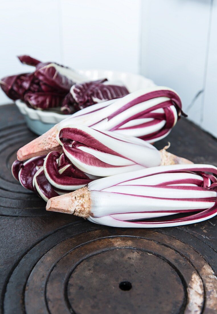 Radicchio treviso n a cast iron hob and in a porcelain bowl