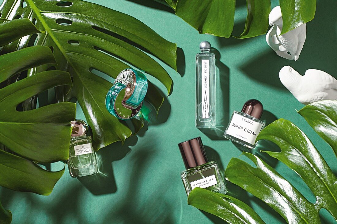 Verschiedene Parfumflakons vor grünem Hintergrund