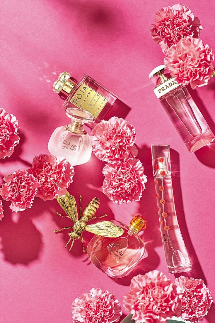 Verschiedene Parfumflakons vor pinkfarbenem Hintergrund