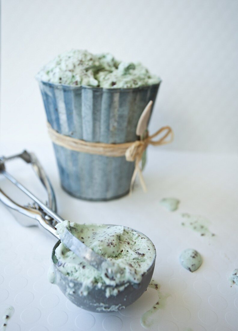 Mint chocolate chip ice cream in a tin with an ice cream scoop
