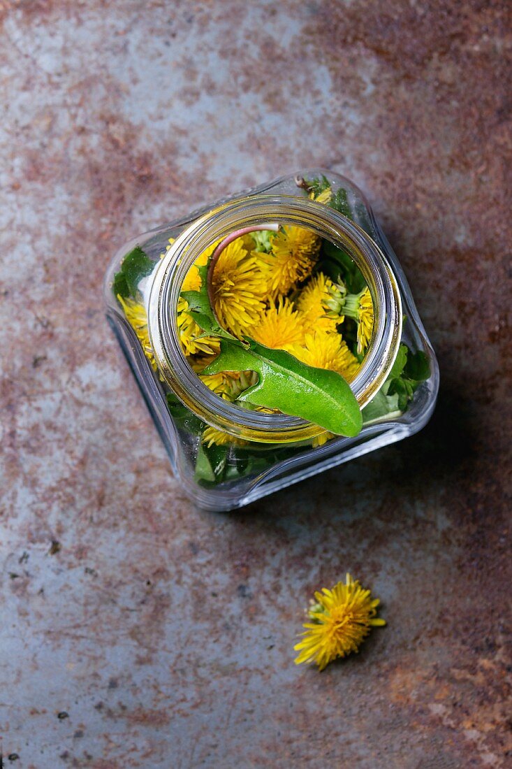 Dandelion leaves and flowers in jar on a rusty metal surface