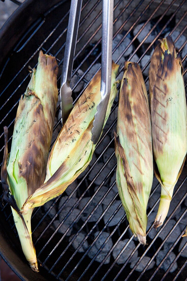 Corn on the cob being grilled in their leaves