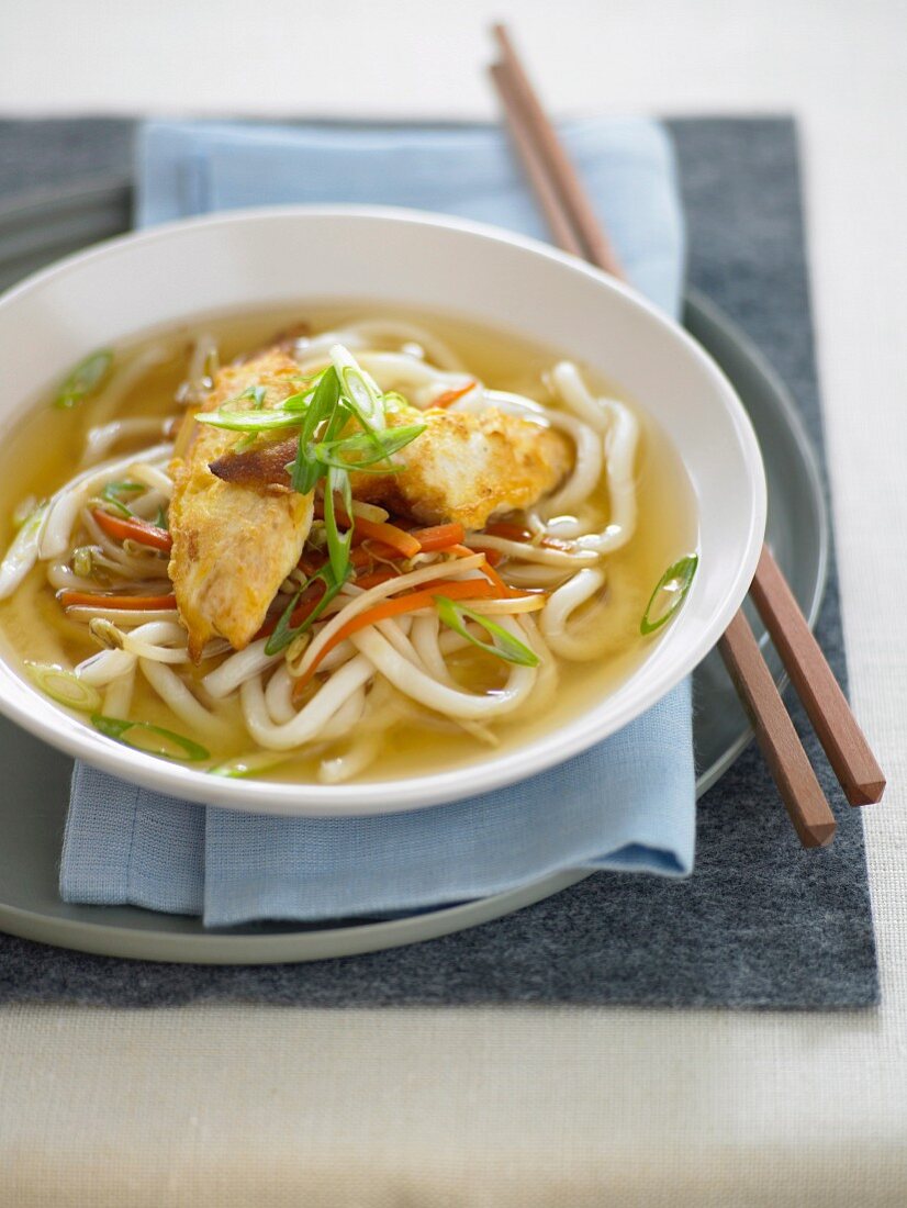 Chicken and Udon Noodle Soup