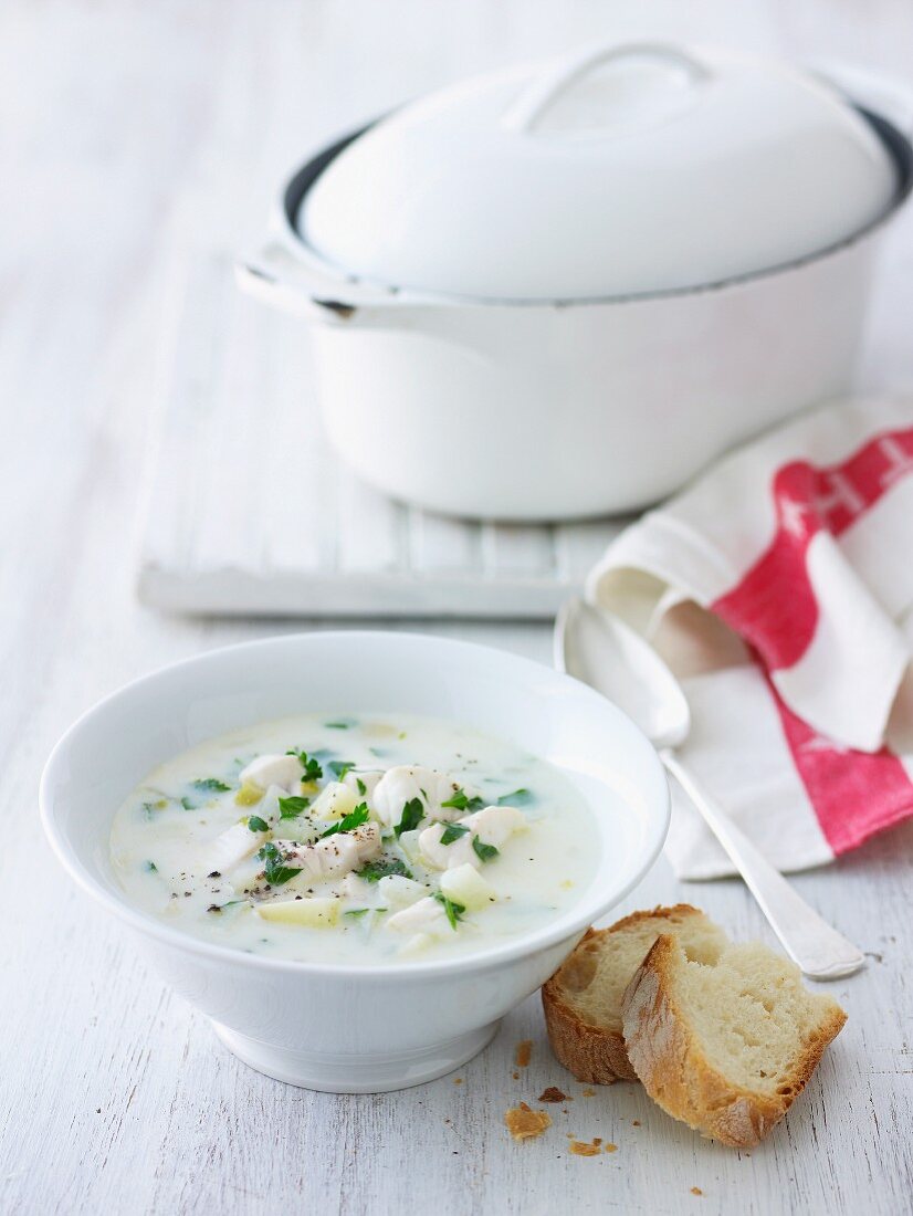 Fish & Fennel Soup