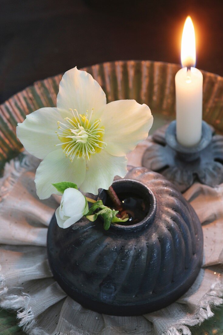 Originelle Weihnachtsdeko mit weissen Christrosen in einer Kuchenform und brennender Kerze