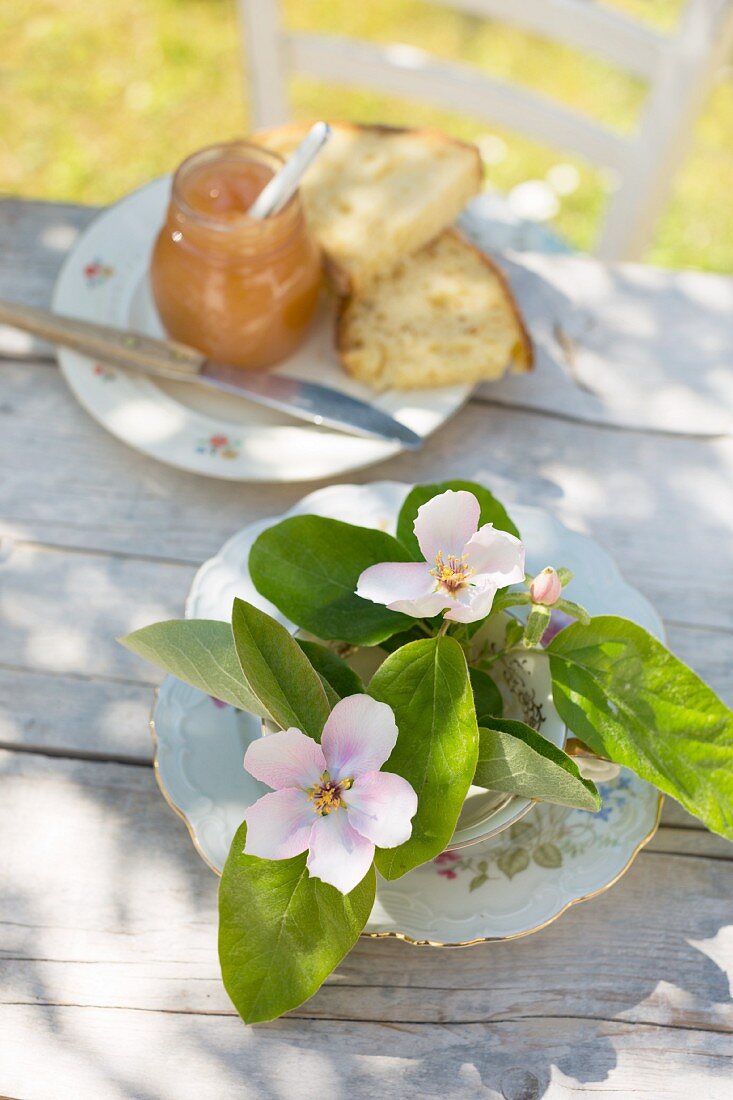 Quince blossoms on vintage plates, with quince jam and white bread in the background