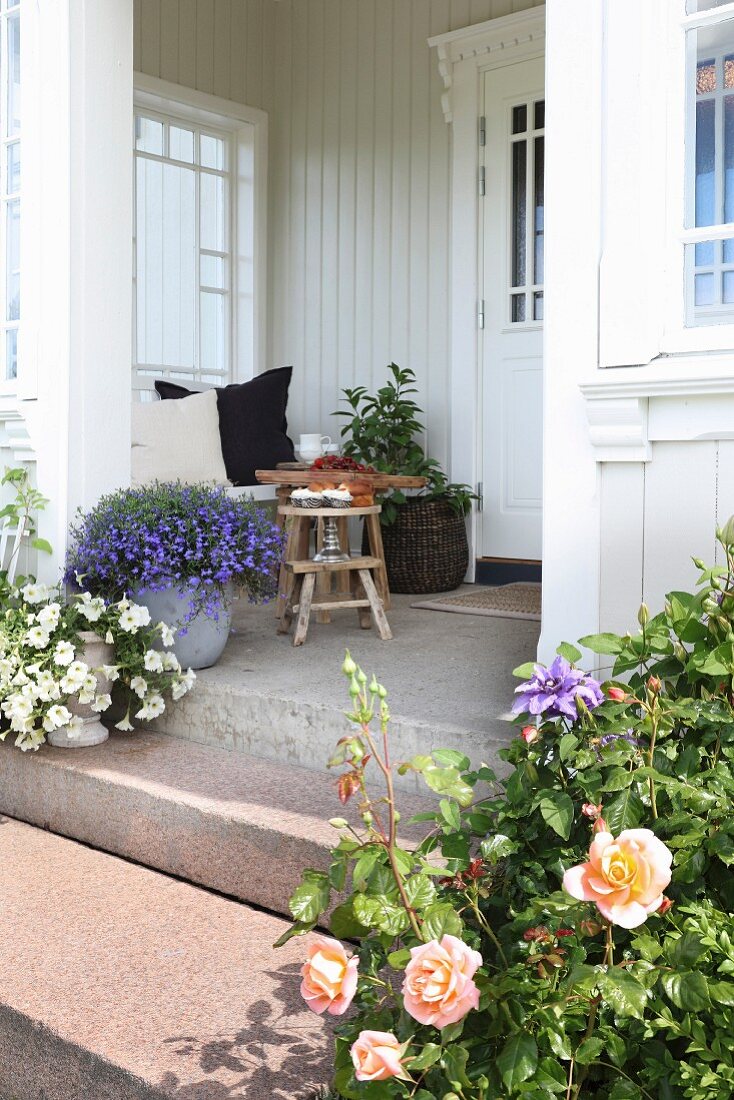 Blühende Rosen und Topfpflanzen auf Eingangsstufen vor Veranda einer traditionellen Landhausvilla