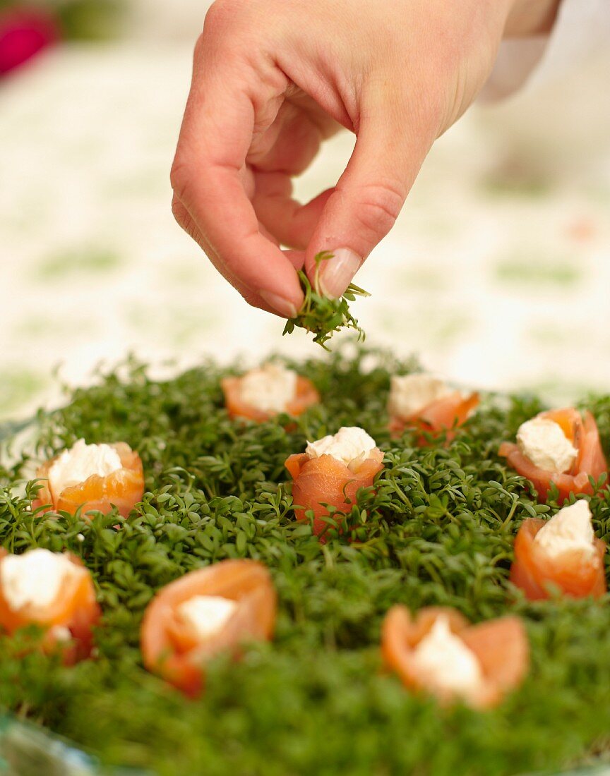 A bed of cress with salmon roses for a summer festival