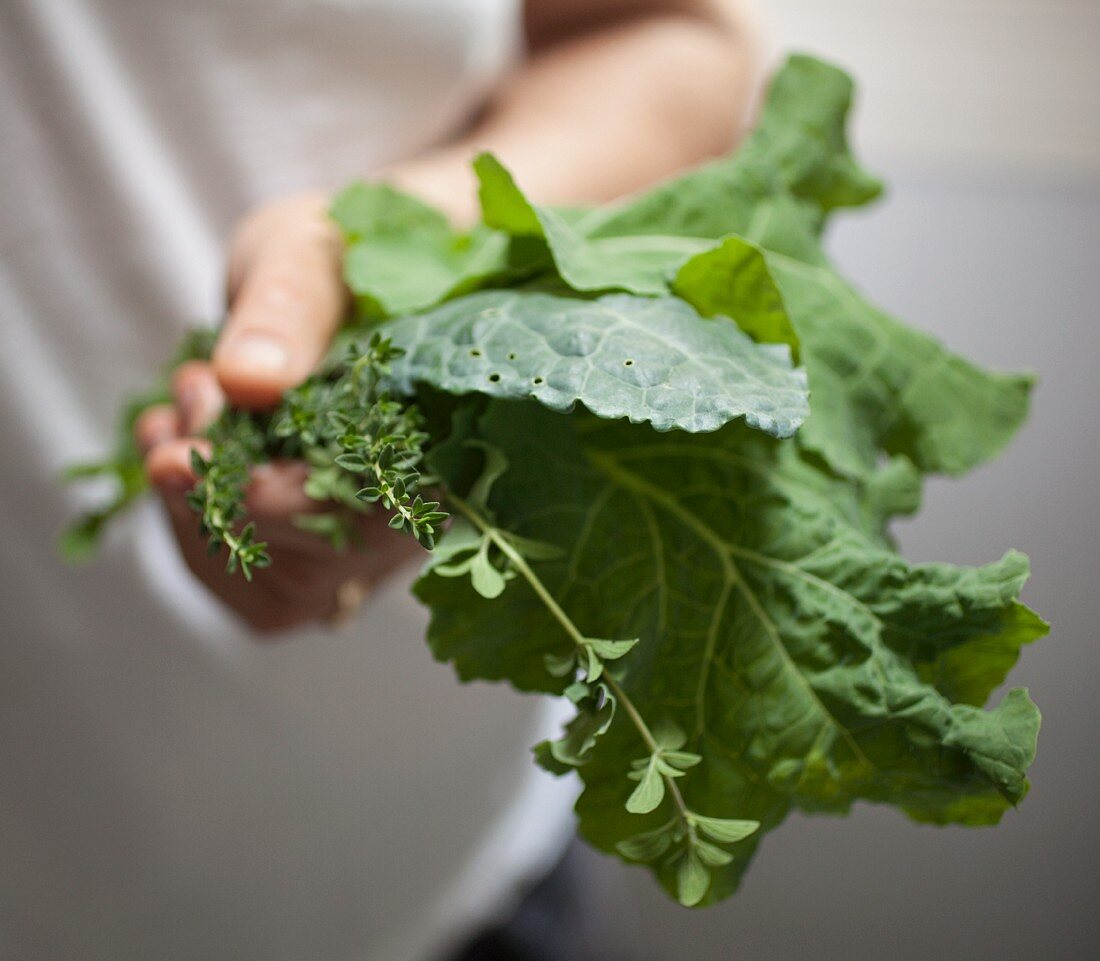 A hand holding fresh kale and herbs