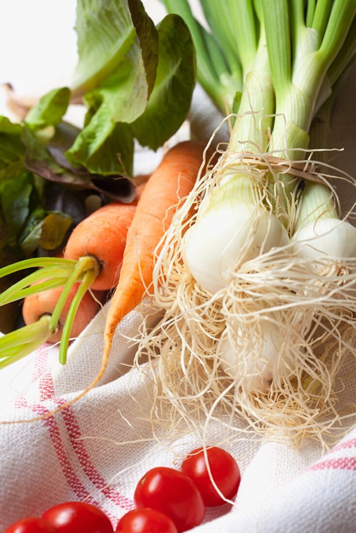 Gemüsestillleben mit Frühlingszwiebeln, Karotten, Tomaten und Salat