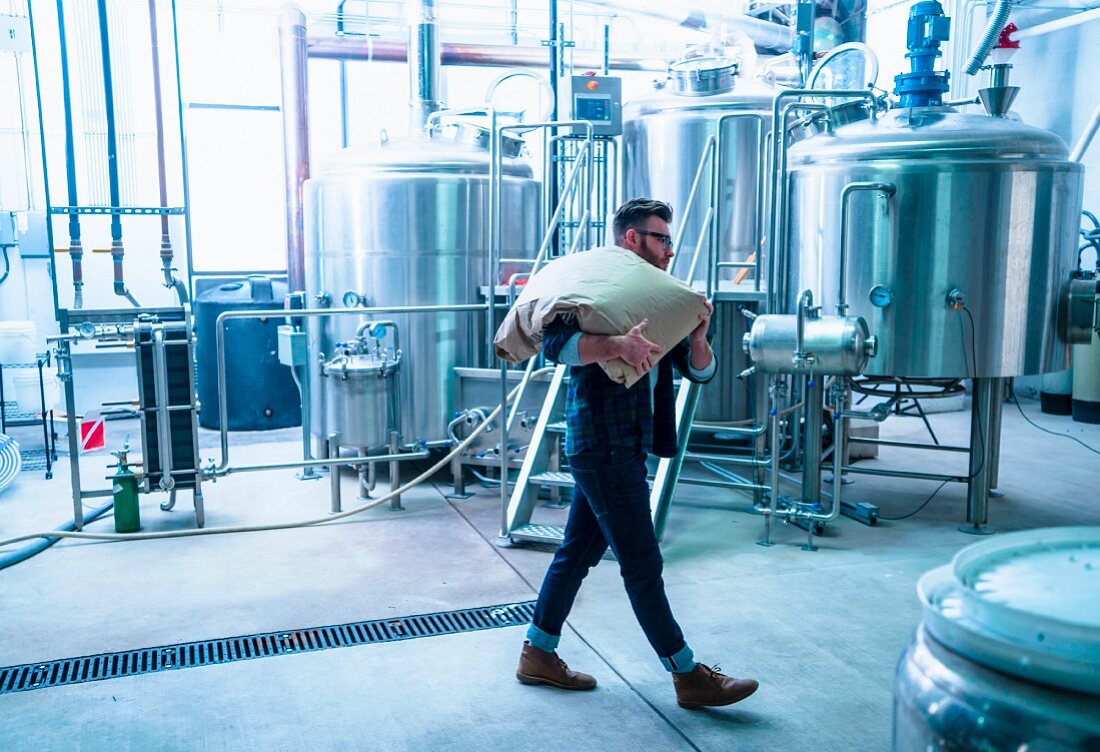 Bierbrauer in Brauerei transportiert Leinensack auf den Schultern (USA)