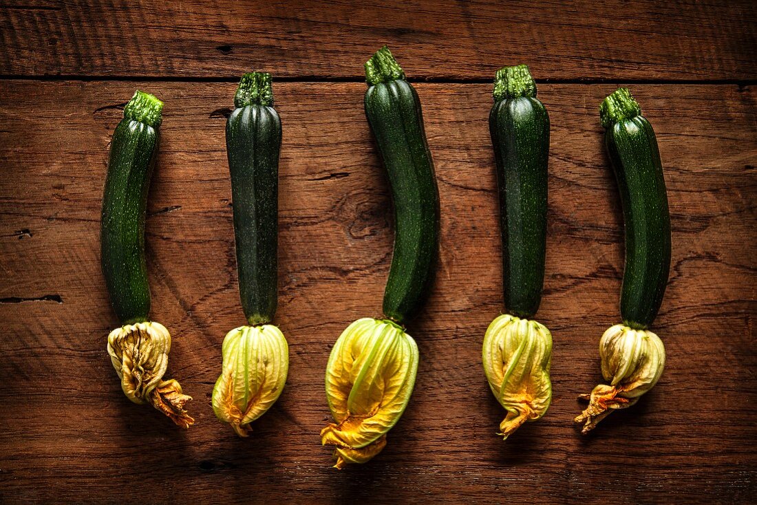 Frische Zucchiniblüten