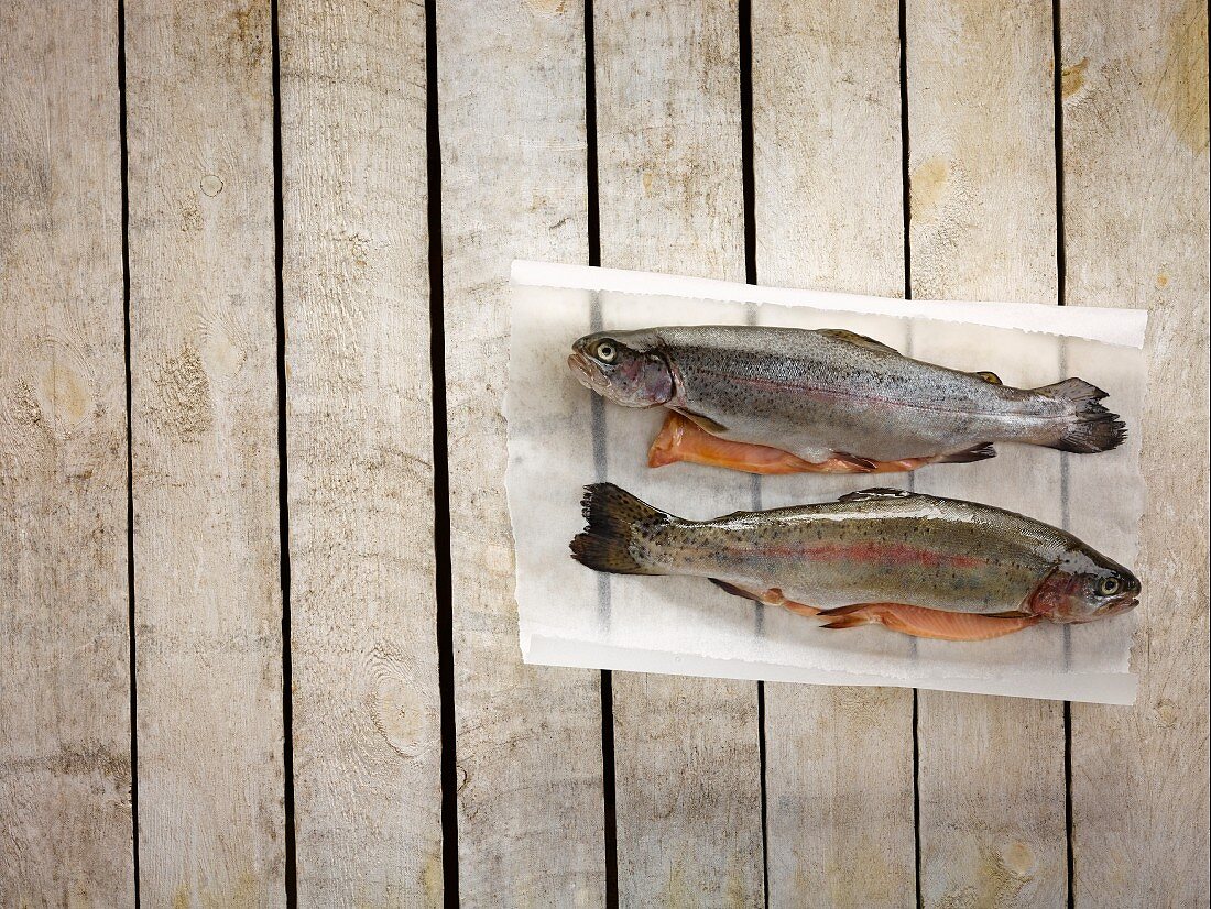 Fresh trout on a piece of paper