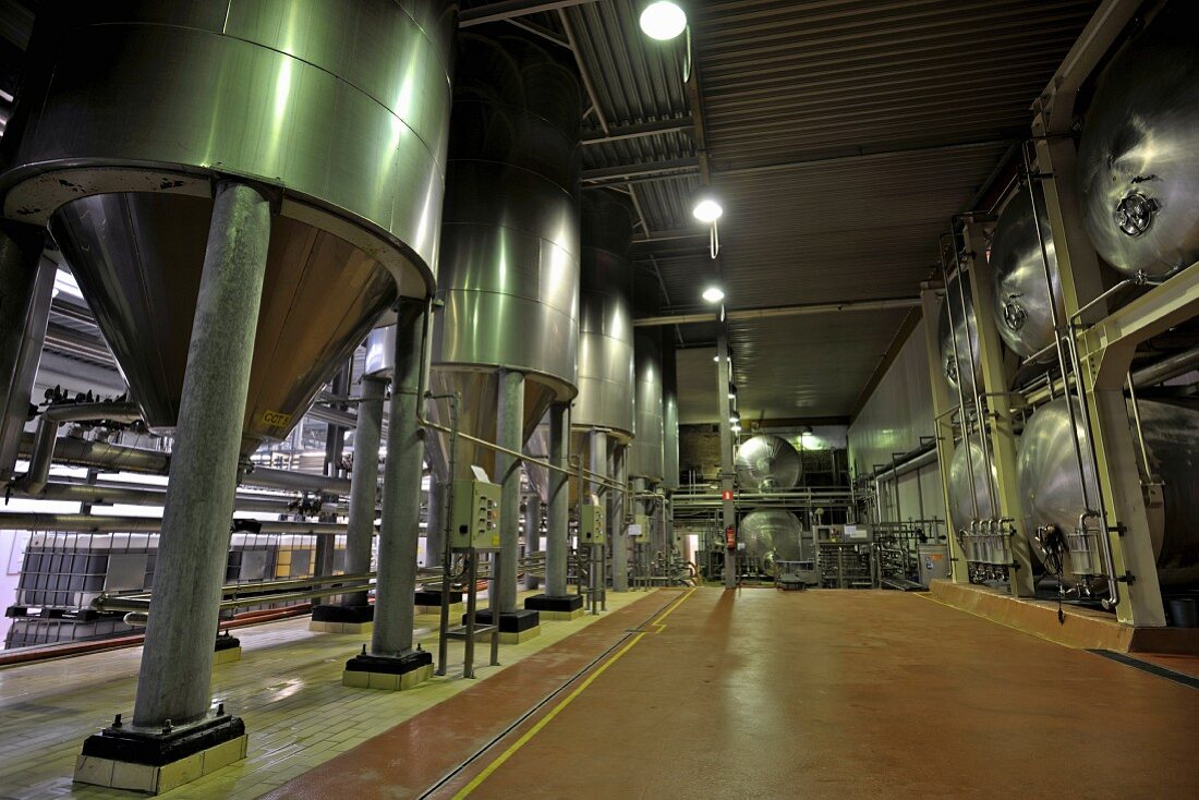 Belgisches Bier (Mort Subite, Lambic) in Tanks in der Brauerei