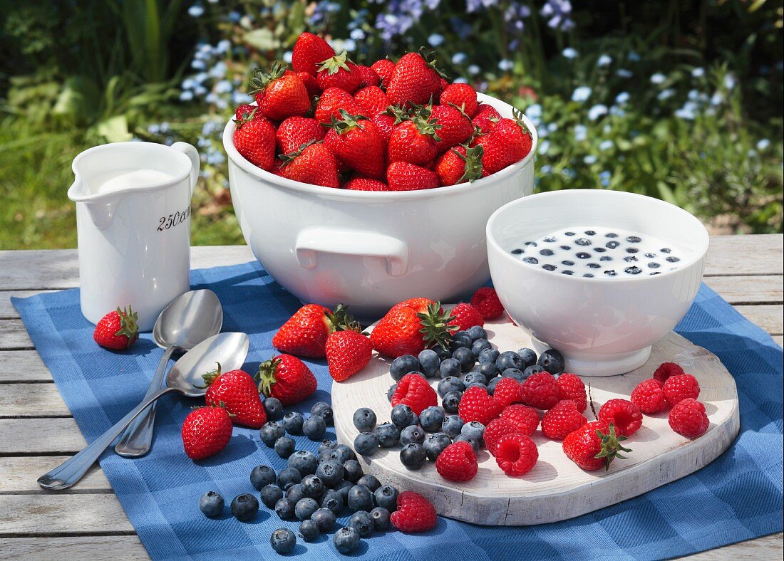 Fresh berries and milk on a garden table
