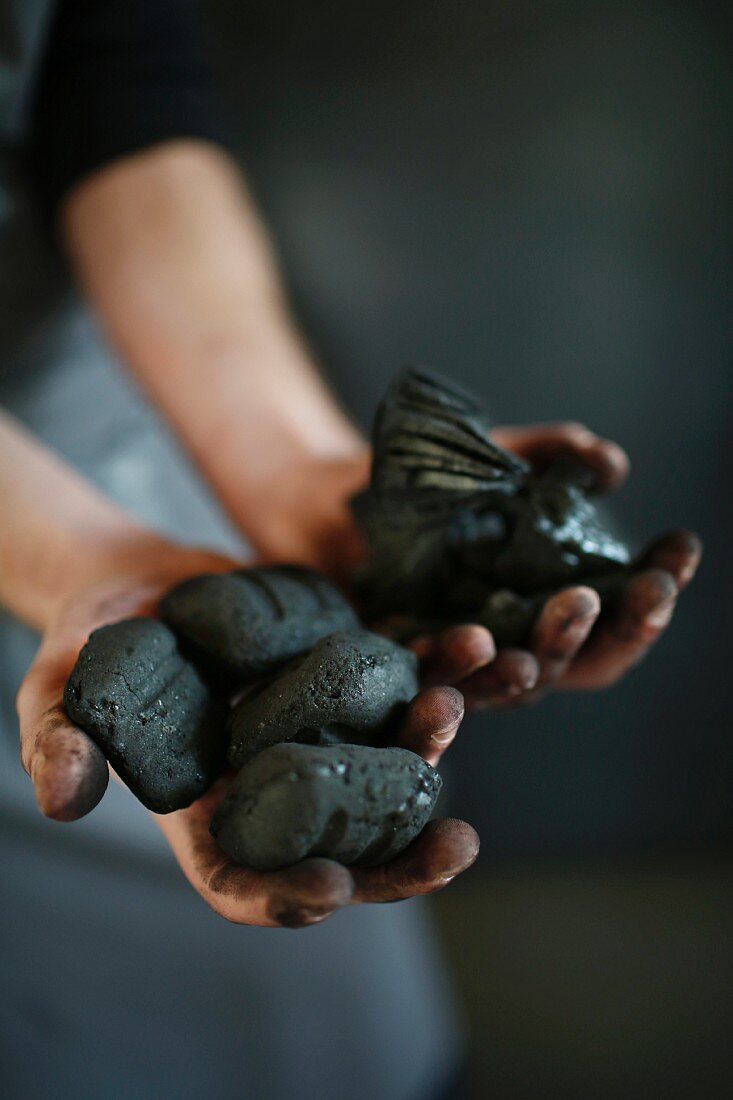 A woman holding charcoal briquettes