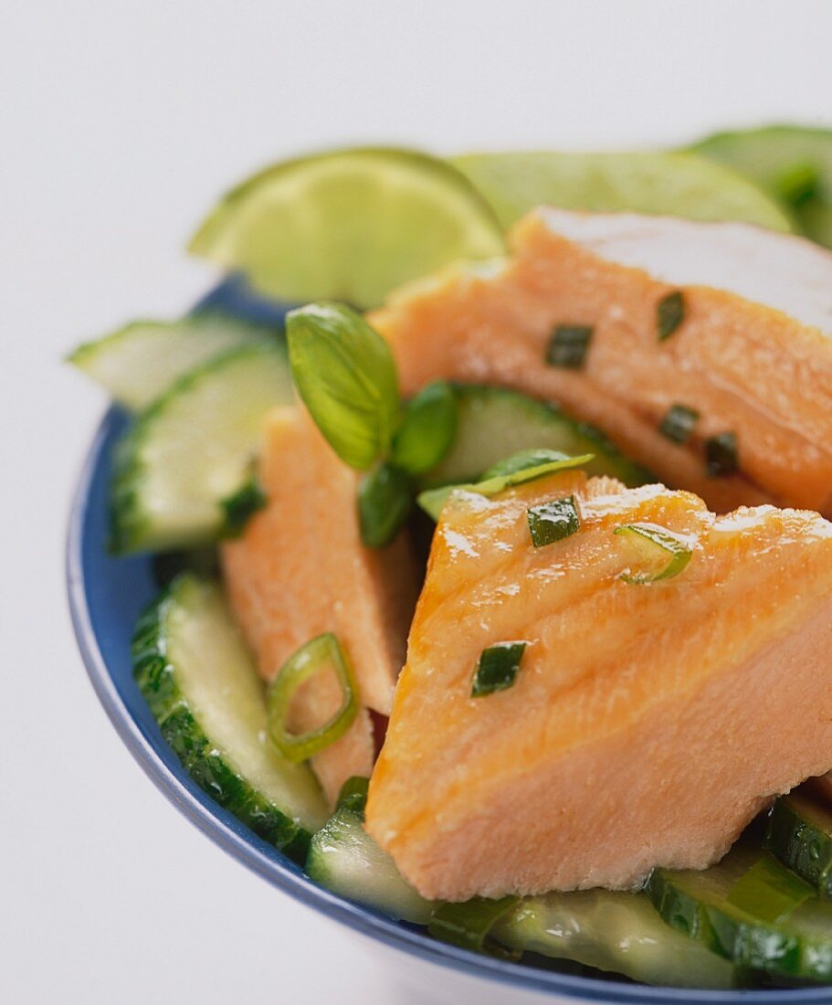 Poached salmon on cucumber salad