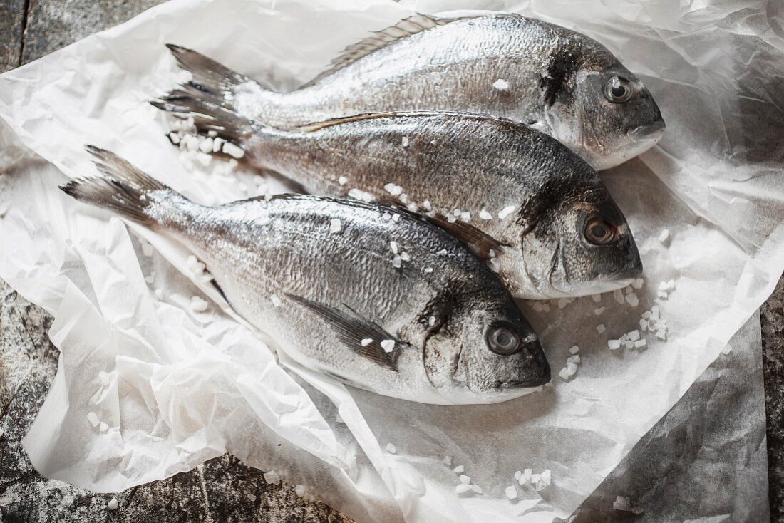Three seabream on a piece of white paper with salt crystals
