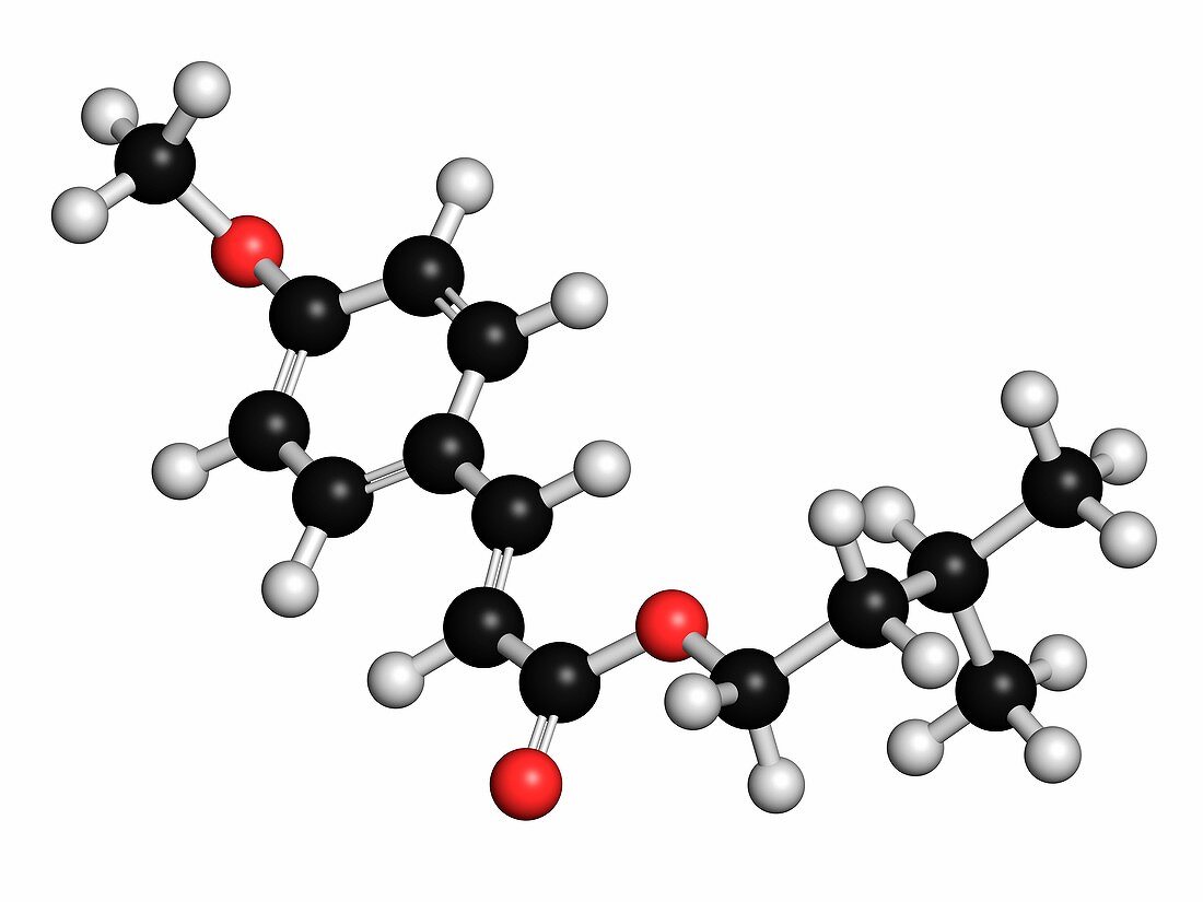 Amiloxate sunscreen molecule