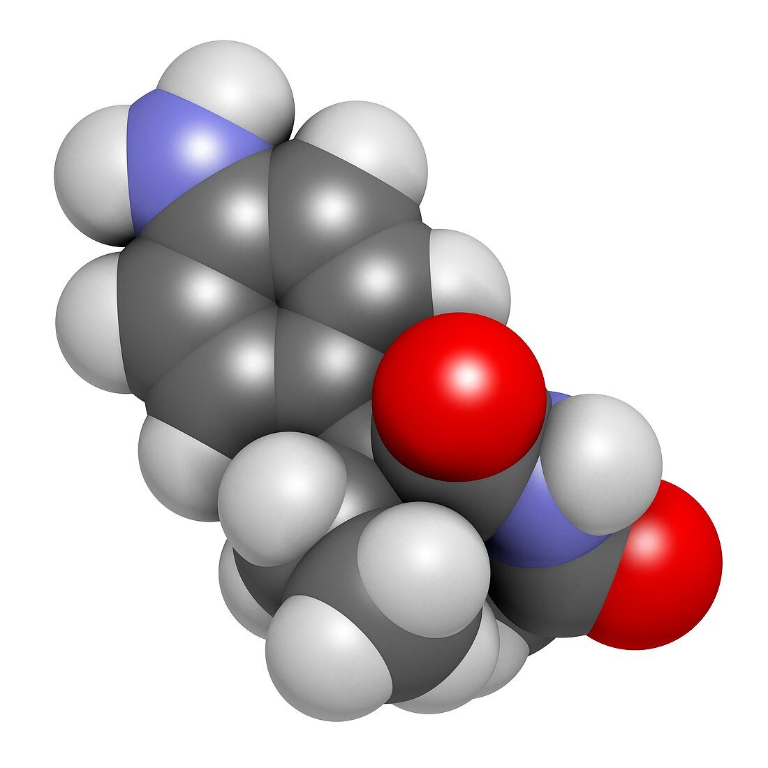 Aminoglutethimide anti-steroid molecule